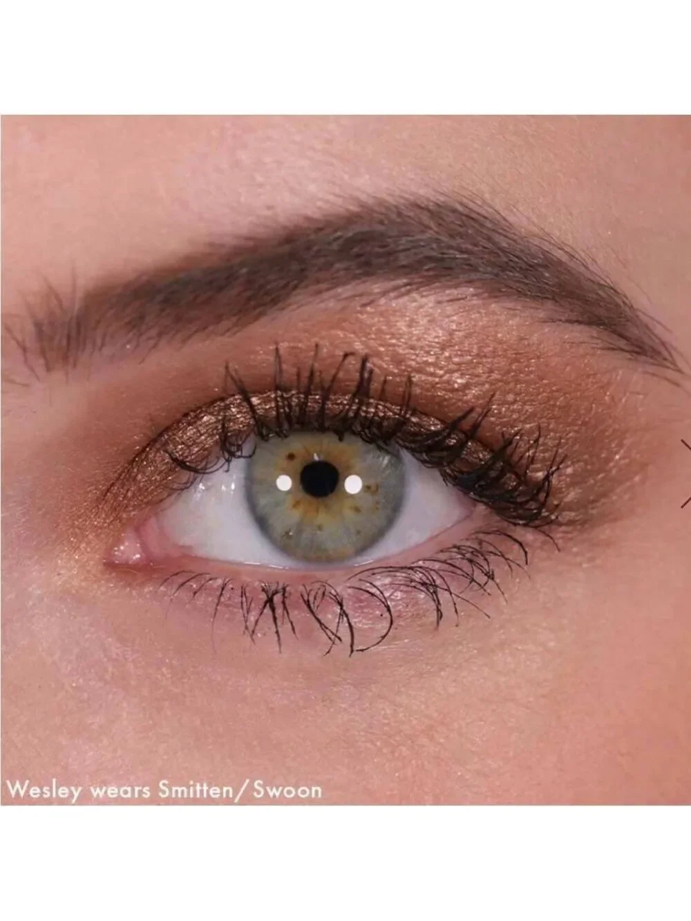 Wander Beauty Double Date Eyeshadow Duo in Shimmer/Swoon
